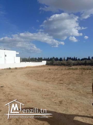 beau terrain 609m à hammamet sud