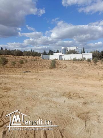 beau terrain 609m à hammamet sud