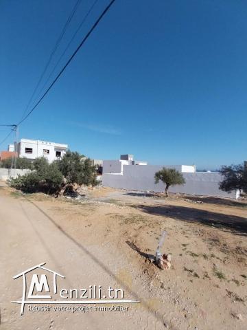 A Vendre Terrain à Kharouba, Hammamet Nord