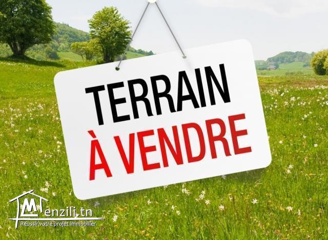 A VENDRE TERRAIN A BORJ CEDRIA