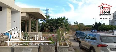 Local Antonio à Louer à Ain Zaghouan Nord