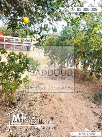 Maison avec jardin Route el Ain Km7.