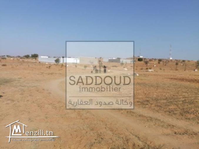 Terrain route  Menzel Chaker Km17