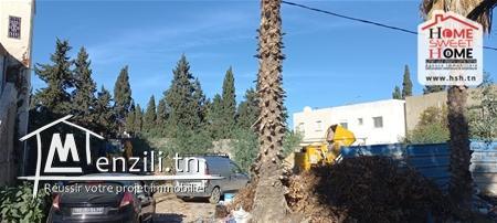 Terrain Villa James à Vendre à La Soukra