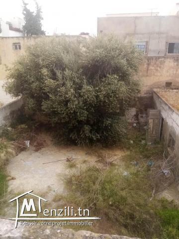 Super occasion terrain 425m2 titre bleu khaireddin