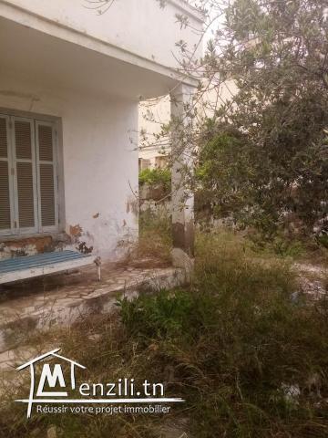 Super occasion terrain 425m2 titre bleu khaireddin