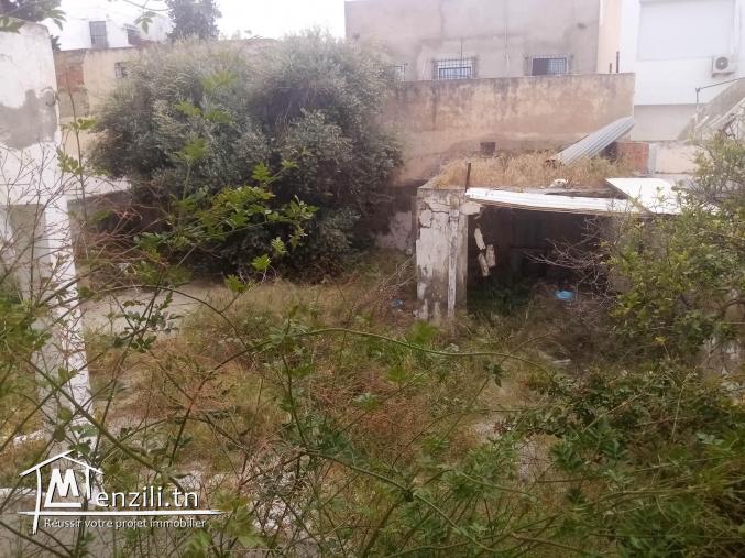 Super occasion terrain 425m2 titre bleu khaireddin