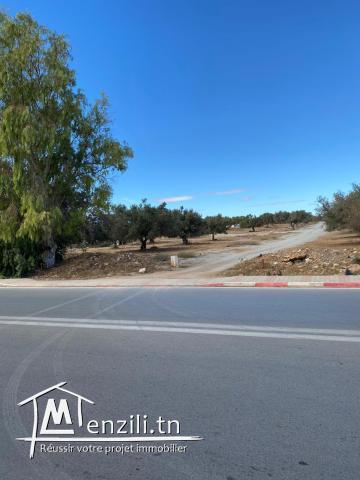 أراضي للبيع في ياسمين الحمامات