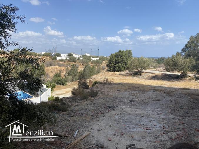 Terrain à Cité Diamant Hammamet Nord