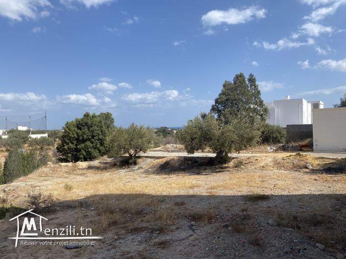 Terrain à Cité Diamant Hammamet Nord