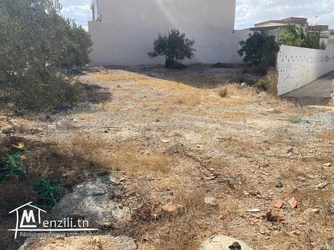 Terrain à Cité Diamant Hammamet Nord