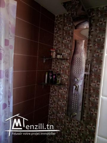 Maison sur un terrain spacieux