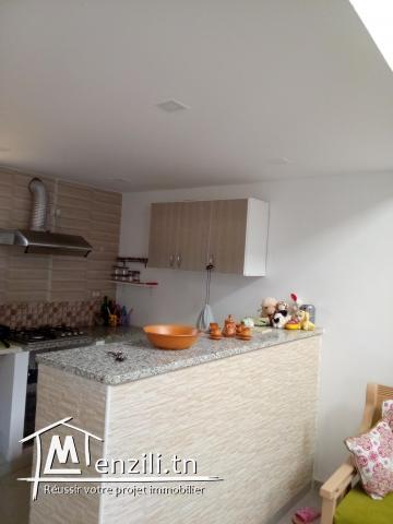 Maison sur un terrain spacieux