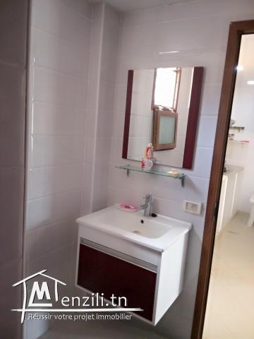 Maison sur un terrain spacieux