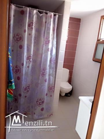 Maison sur un terrain spacieux