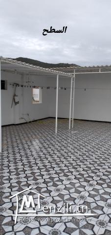 منزل من طابقين في حمام الأنف