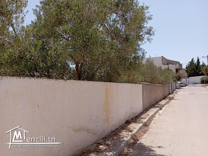 Terrain constructible Hammamet Nord