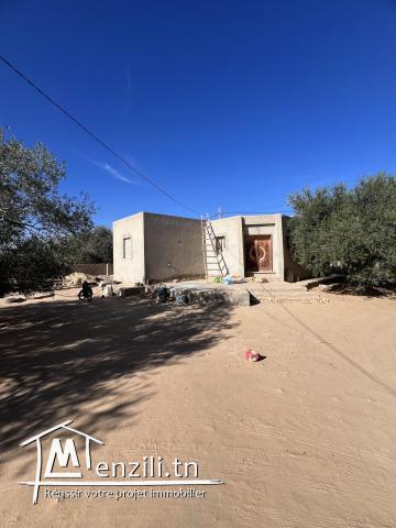2 villas,houch arabe et écuries à vendre à hachane djerba