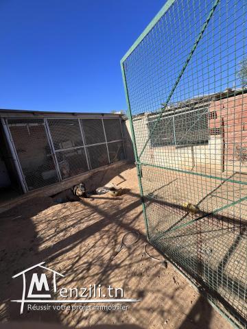 2 villas,houch arabe et écuries à vendre à hachane djerba