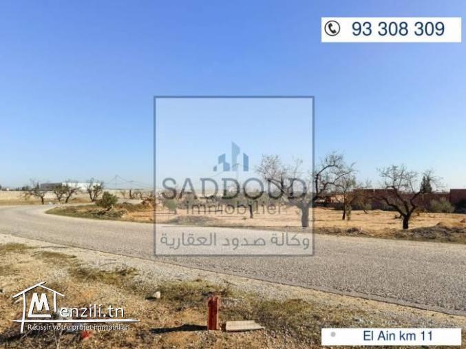 lot de 500m à route el Ain km11 Zanket Yasmine parc