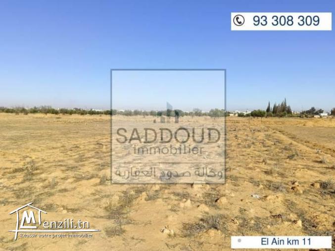 lot de 500m à route el Ain km11 Zanket Yasmine parc