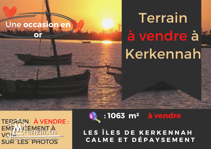 terrain à vendre aux Iles kerkennah