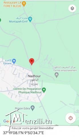 Terrain à vendre de 500 m2  sur la route principale