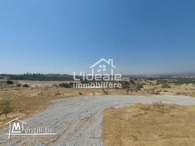 Terrain Halim Beni Wael