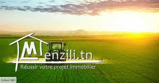 عرض جدي واكيد