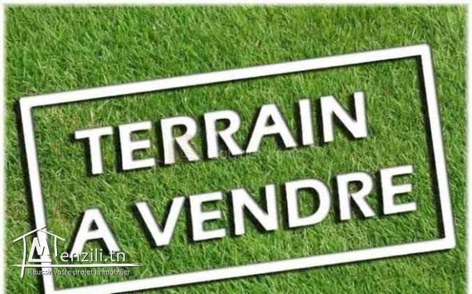 Vente Terrain Carthage Byrsa