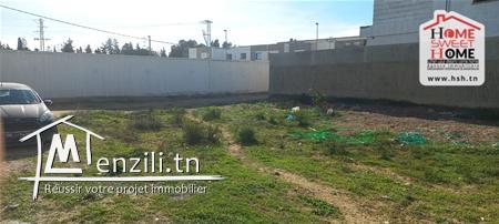 Terrain Guatemala à Vendre à Chotrana1