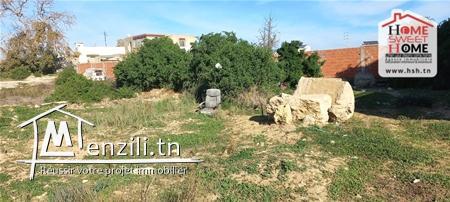 Terrain Guatemala à Vendre à Chotrana1