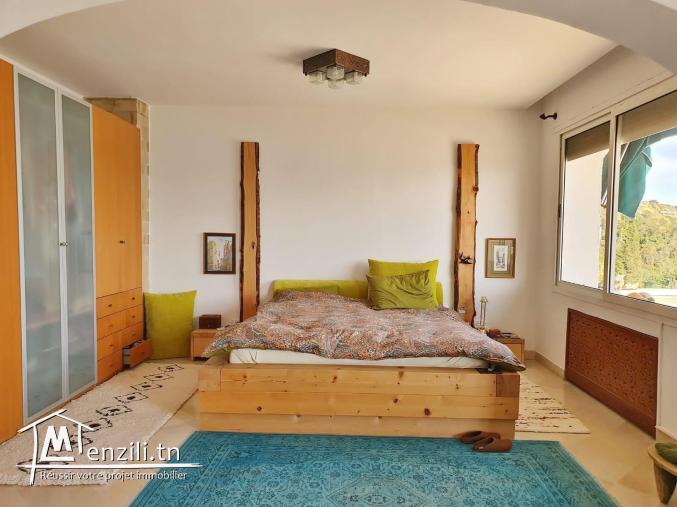 une villa s+5 à gammarth