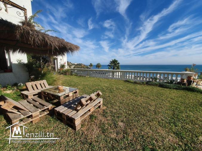 une villa s+5 à gammarth