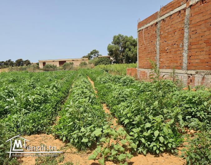 Un terrain de 675 m2 a vendre