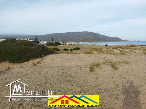 Terrain pieds dans l'eau de 750m2 a la plage el haouaria cap bon