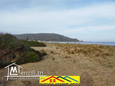 Terrain pieds dans l'eau de 750m2 a la plage el haouaria cap bon