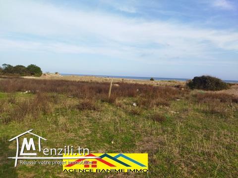 Terrain pieds dans l'eau de 750m2 a la plage el haouaria cap bon