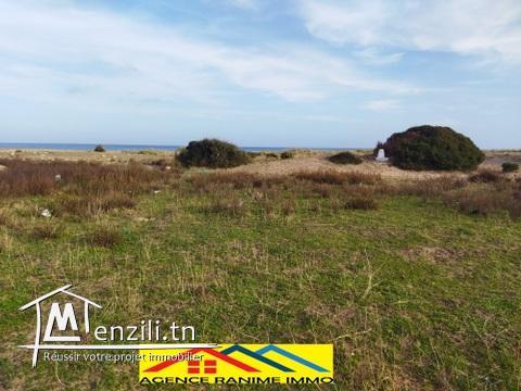 Terrain pieds dans l'eau de 750m2 a la plage el haouaria cap bon
