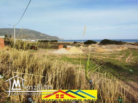 Terrain pieds dans l'eau de 750m2 a la plage el haouaria cap bon