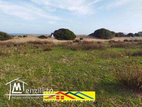 Terrain pieds dans l'eau de 750m2 a la plage el haouaria cap bon