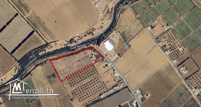 terrain agricole à vendre