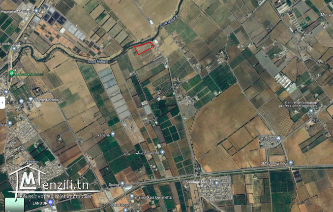 terrain agricole à vendre