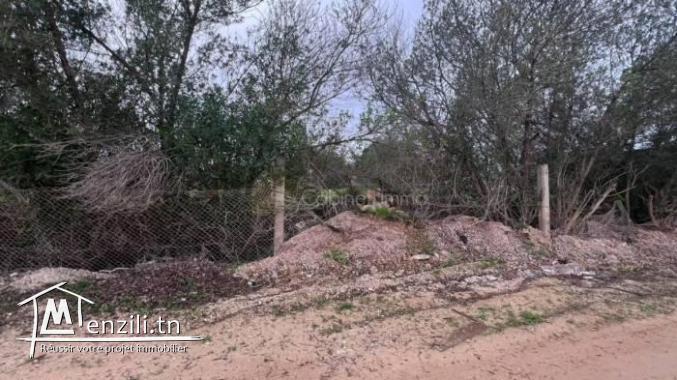 Vente Des Lots de Terrains Borj Touil