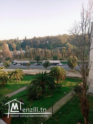 appartement s+2 Nouvelle madina2