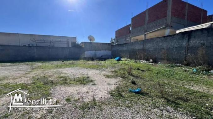 Vente Terrain Raoued