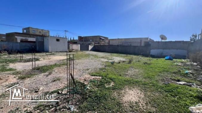 Vente Terrain Raoued