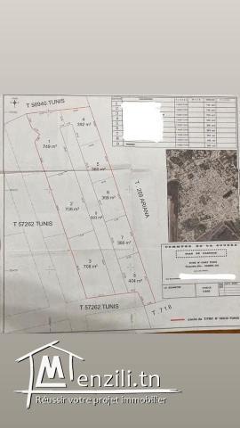Un terrain à Dar fathal soukra
