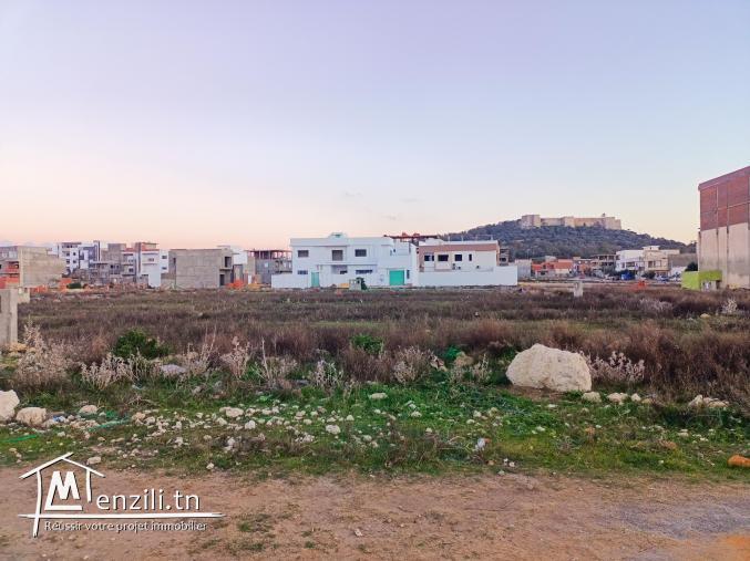 Terrain à Kelibia de372 m2