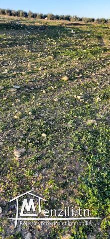 terrain situé a mnihla a vendre